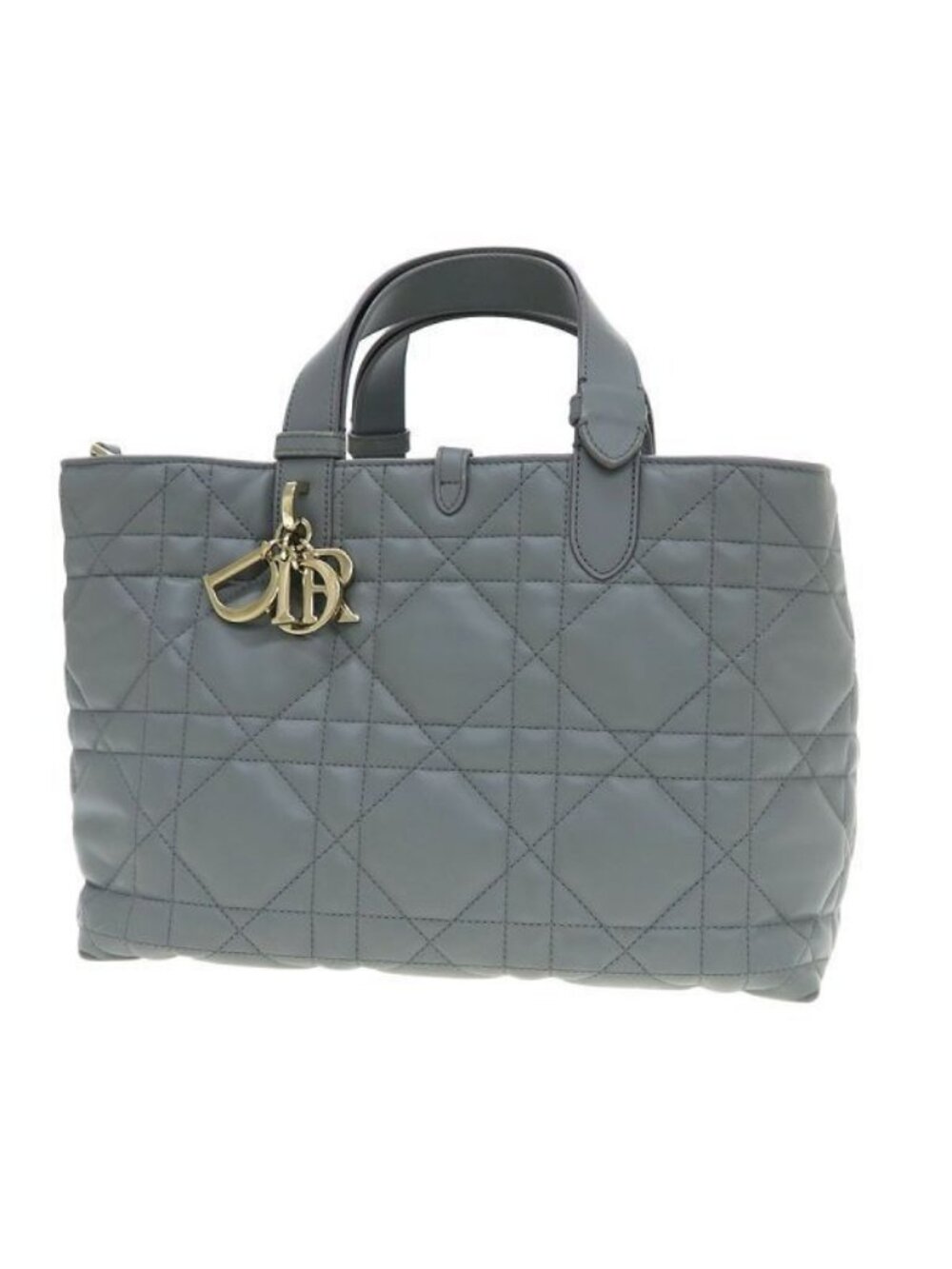 Dior Toujours Bag Handbag Gray